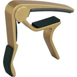 83C Curved (Gold)