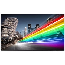 Philips 65BFL2214/12 65" 4K LED Professional TV