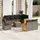 vidaXL Garten-Lounge-Set 9-tlg. grau