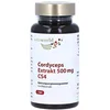 Cordyceps Extrakt 500mg