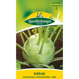Quedlinburger Kohlrabi Superschmelz Quedlinburger Gemüsesamen