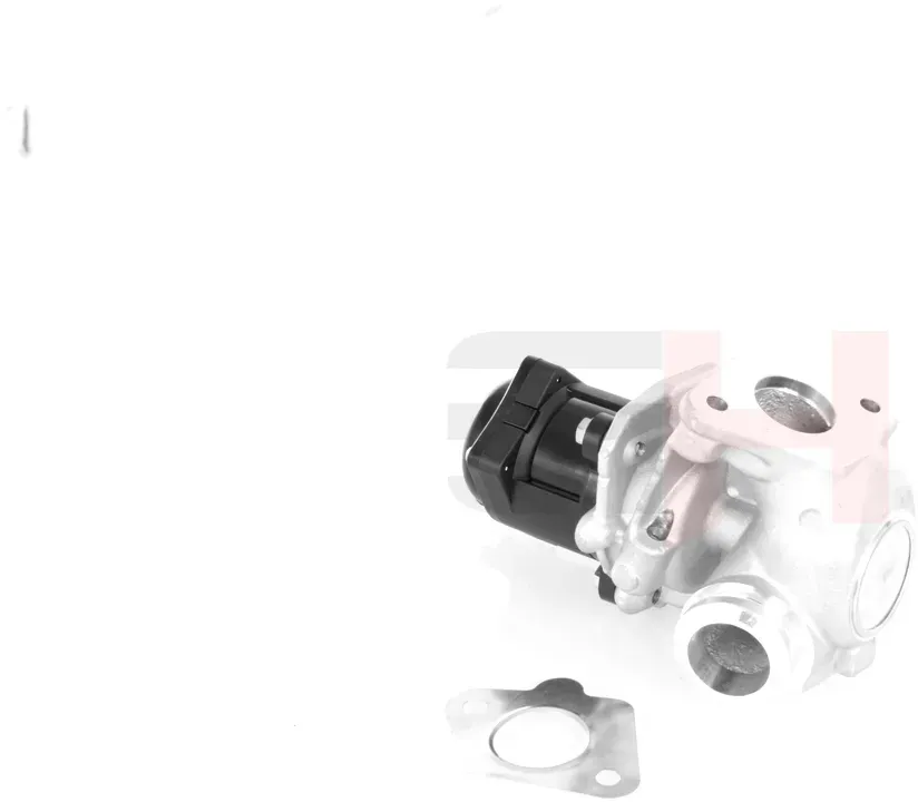 GH AGR-Ventil gh732549 für Citroën/Peugeot Ford Volvo TOYOTA Peugeot