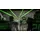 Madden NFL 21 Next Level Edition Xbox Series X
