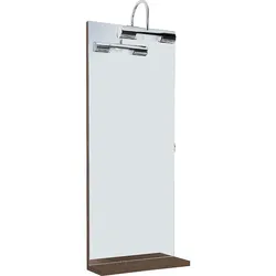 Spiegel mit LED-Beleuchtung und Holzablage (Ausführung: Spiegel mit Beleuchtung und Ablage 350x900mm anthrazit matt)