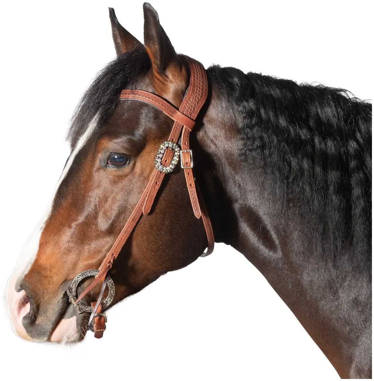 Passion 4Q Westerntrense brown Cob