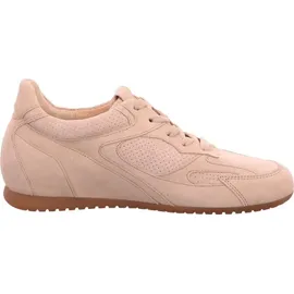 Gabor Sneaker Low Beige 41