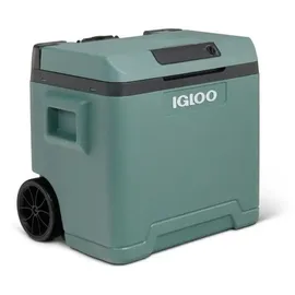 Igloo IE42 42 l