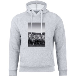 Cotton Prime® Kapuzensweatshirt Schafe mit Sonnenbrille