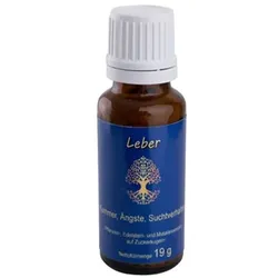Qi-Complex Leber - Globuli zur Entlastung der und um die allgemeine Verdauung zu unterstützen 19 g