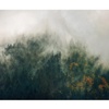 Fototapete Tales of the Carpathians 300 x 250 cm