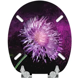 Sanilo WC-Sitz Purple Dust mit Absenkautomatik