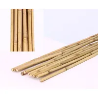 15er Set Bambusrohre Tonkin, gelblich, naturbelassen, Durch. 1,6- 1,8cm, Länge 2