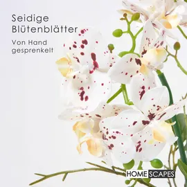 Homescapes - Künstliche Weiße Phalaenopsis-orchidee im Glas-Topf, 42 cm