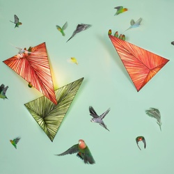 Zooid Wall Ceiling, 16 Farben