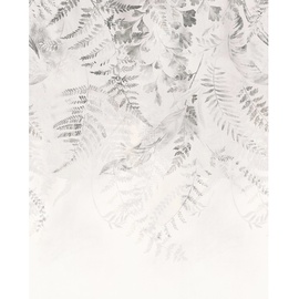 KOMAR Vliestapete schwarz weiß) - 200x250 cm x 250 cm