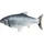 Trixie Zappelfisch 6cm Grau