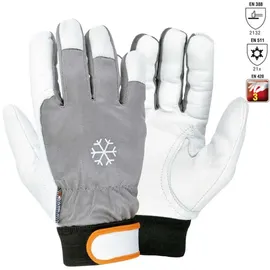 COFRA Winter Arbeitshandschuhe aus Ziegenleder 8 (m)