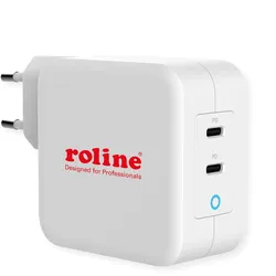 ROLINE USB Charger mit Euro-Stecker, 2 Port Typ-C (PD), GaN, 100W