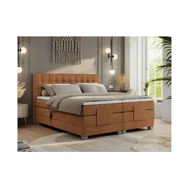 MKS Meble Boxspringbett 200 x 200 cm H3 Orange