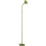 rl live your light Pongo R45831115 grün