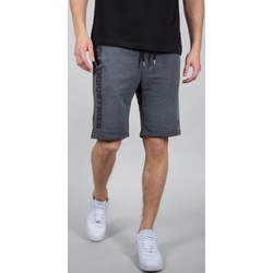 Alpha Industries Big Letters Shorts, grau, Größe S für Männer