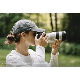 Sony SEL 70-200 mm F4,0, Bildstabilisator, Telekonverter, Bajonett Sony FE