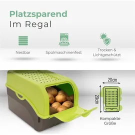 Novaliv Aufbewahrungsbox 5L 1-tlg. grün