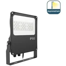 LeuchTek FLS7-100W-XWA (131392)