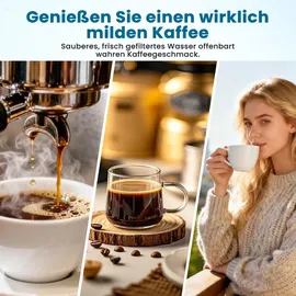 filswa Wasserfilterpatrone türkis 12 St.