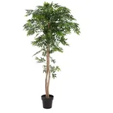 Europalms Ficus Longifolia, Kunstpflanze, 165cm