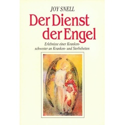 Der Dienst Der Engel - Diesseits Und Jenseits - Joy Snell, Kartoniert (TB)