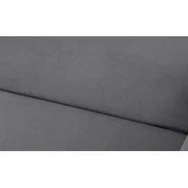 Nehl Liege Easy Flachgewebe 220 x 80 x 96 cm Grau mit Schlaffunktion