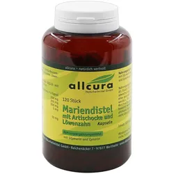 Mariendistel Mit Artischocke Und Löwenzahn Kapseln