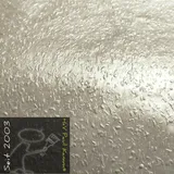 H+V Paul Kamm® Metallic Wandfarbe 2kg (ca.2Liter) Effektfarbe, Wandfarbe Innenbereich, Glitzer, Glitzereffekt, Glitter, Metallisch, Schimmer