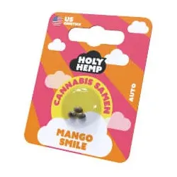 Holy Hemp Cannabissamen – Mango Smile