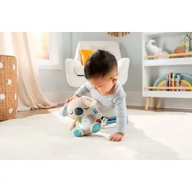 Fisher-Price Koala-Spieluhr 0 cm Blau/Grau