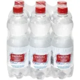 Trendic Mineralwasser naturell PET EW-Pfand 6 x 0,5 Liter / Flasche #85630