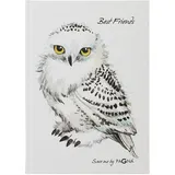 Pagna 20369-15 Freundebuch Eule 60S, Weiß