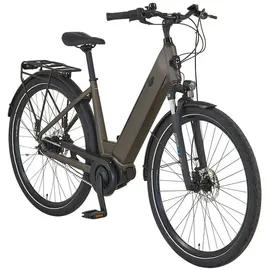 Prophete Geniesser 3.3 28 Zoll RH 48 cm Matt Bronze