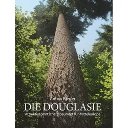 Die Douglasie