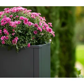 Westmann Talus Pflanzkübel 100 x 25 x 52 cm Anthrazit