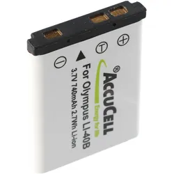 AccuCell Akku passend für Ricoh DM-6370 Digital-Kamera