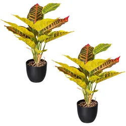 Künstliche Zimmerpflanze CREATIV GREEN "Grünpflanze Croton", grün, H:35cm, Kunststoff, Kunstpflanzen, im 2er Set