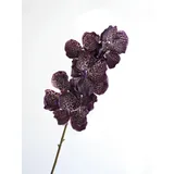 TVIVID Künstliche Vanda-Orchidee, fühlt sich echt an, künstliche Orchidee, Folral-Arrangement, realistische dekorative Vanda-Blume