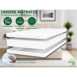 Dreamstar Easy Flex 80 x 200 cm H2/H3