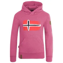TROLLKIDS Hoodie Pullover mit Kapuze "Trondheim" in Rosa | Gr.: 110