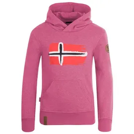 TROLLKIDS Hoodie Pullover mit Kapuze "Trondheim" in Rosa | Gr.: 110