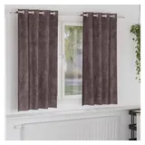 vidaXL Samtvorhänge mit Vorhängen 2 pcs Braun 175 x 140 cm Samt