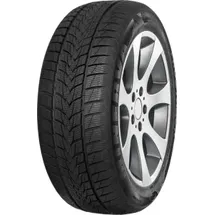 MINERVA Frostrack UHP 215/50 R18 92V