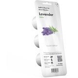 Click & Grow Click and Grow Lavendel